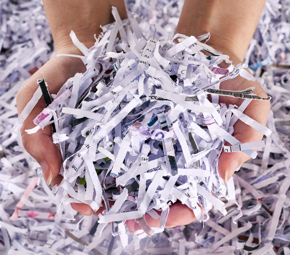 Papel e Celulose